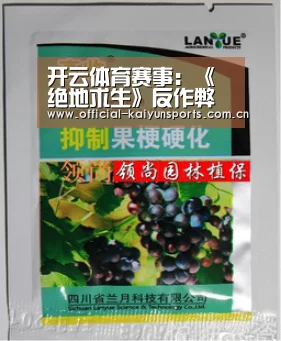 开云官网导航
